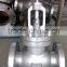 Cast Steel Flanged end 300LBs Globe Valve