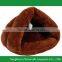 XinYou Cat Cave Bed Kitten Sleep Bag Hanging With a Scrtching Ball Toy Fit Cat Max 33 lbs 4 Colors