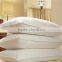 Hand Made Grade AAAA 100% Mulberry Silk Soft Pillows
