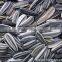 Chinese sunflower seeds sandaomei with best price for sale