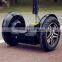 2000W Lithium Battery 2 Wheel Self Balance Electric Scooter Wind Rover F6