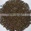 SPHS aquatic feed processing fish feed extruder machine,extruder to feed floating