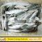 Frozen Round Scad Fish with Size 8-10