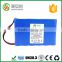 High Quality rechargeable lithium ion battery 12V dc motor 4000mAh