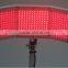 NL-SK2 Factory Offer Oem Led Pdt Light Therapy Skin Rejuvenation Machine In Aesthetic Medicine For Anti-wrikle Skin Whitening