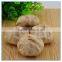 Wholesale Fermented Black Garlic Extract Aged Black Garlic Extract