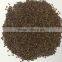 VIETNAM CASSIA TORA SEED