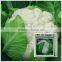 Hybrid F1 high yield broccoli seeds cauliflower seeds