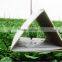 Delta trap for pest
