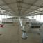 Steel structure automatic layer chicken poultry shed