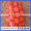 50*80cm 26-32gram Supplier for Mesh Bag for Vegetables/fruit Mesh Bag (Guangzhou Factory)