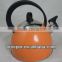 Colorful stainless steel kettle