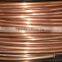 china  golden supplier brass coated steel wire