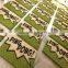 Wholesale Dropship Custom Printed Coir Door Mats