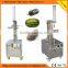 Vegetable and fruit/jackfruit/grapefruit peeler peeling machine