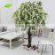GNW BLS048 11ft large fiberglass cherry blossom tree for decoration