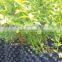 plastic root control container/pot for garden tools