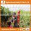 Heracles Trade Assurance mini grow tent