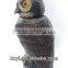 Deterrent Rotating Head Bird Repellent