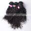 Malaysian Water Wave Human Hair Extensions Virgin Malaysian Hair Weaves Natural Black Malaysian Hair 100g/pc 8-30 inch