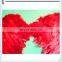 Halloween Cosplay Large Red Feather Costume Angel Wings HPC-0841