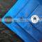 Tarpaulin Backpack Playhouse Fabric PE Plastic Lumber