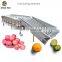 2018 High quality commercial apple grader fruit and vegetable grader on sale