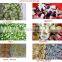 Industrial onion cutting machine leafy vegetable cutter chili cutter machine
