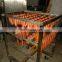 Hot sale factory price fish smoker/meat smoke house/fish smoke oven for sale