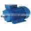 Marine powerful electric motor electric motor