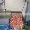 Most popular Bone Cutting Machine/best quality whole stainless steel bone cutting machine/bone sawing machine