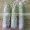 Factory made pillow pack wrapping machine for cookier bread candy packaging