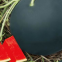 Seedless black skin hybrid watermelon seeds