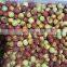 Sinocharm BRC-A approved IQF jujube Frozen jujube