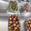 Cherry Fruit Vegetable Automatic Packing Packaging Machine With Tray In Plastic Bag 2.5KG