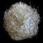 E-type glass 3mm 6mm short steel strand glass fiber