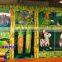 madagascar theme park