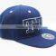 your own style university snapback hats with puff embroidery