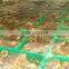 Dungeness Crab