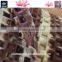Pvc Mat Suppliers and Manufacturers