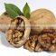 cheap100% organic walnuts in shell price