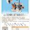 Advanced multi-function double key duplicating used for 100-H key copy wenxing machine