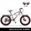 Fat bike aluminum 20inch fat tire bike