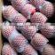 Fresh high Quality Fuji Apples for Sale Grade A fuji apple for Indian market