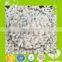 White masterbatch for dry compound/casting/milk membrane