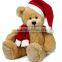 Plush Orange Teddy Bear /Plush Teddy Bear / Teddy Bear Plush / Plush Teddy Bear For Christmas Festival