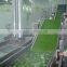 Stainless steel leafy vegetable washing machine