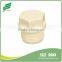 CPVC ASTM2846 male plug or cap