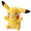 Pokemon Small Plush XY Pikachu Pokemon GO Plush Toy