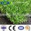 25mm hot selling good quality artificial garden grass turf
